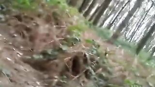 Bears Group Sex Outdoor