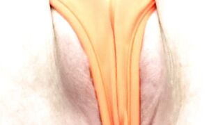 Slideshow Cameltoe Delight #1 with snatch dripping cum jizzed