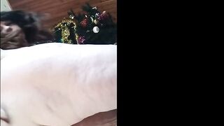 grandma webcam