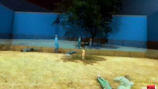 Squid Game 2: Machalands' Turn