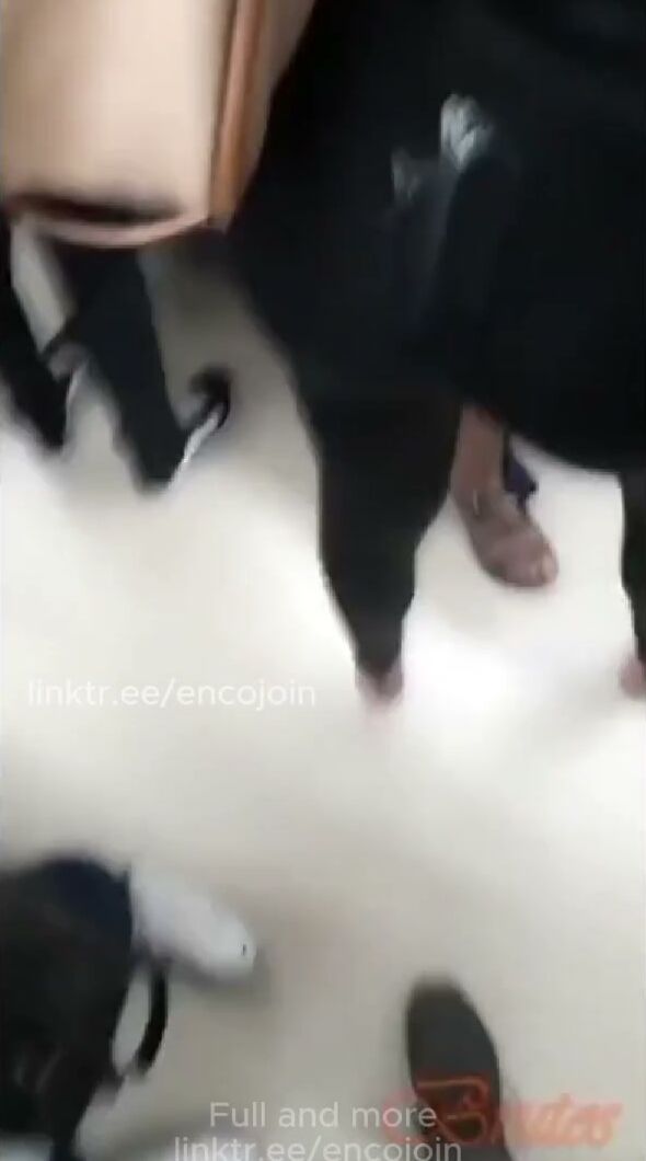 Candid Teen Flashing and Dick