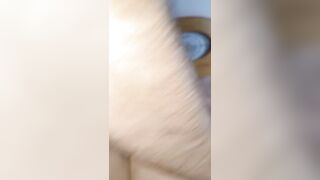 Ex-Wife anal plowed and sucking off penis three-way private