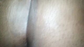 Turkey day cock drop off pt one