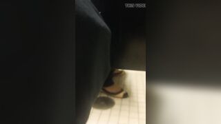 Understall pissing farts