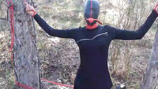 Bound up to a tree outdoors on Beauty clothes, ball