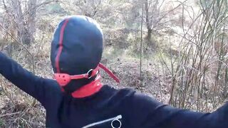 Bound up to a tree outdoors on Beauty clothes, ball