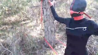 Bound up to a tree outdoors on Beauty clothes, ball