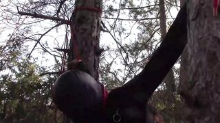 Bound up to a tree public on Hot clothes, wearing