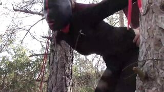 Bound up to a tree public on Hot clothes, wearing
