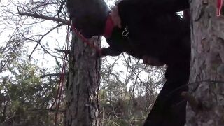 Bound up to a tree public on Hot clothes and