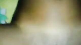 Antepli dul