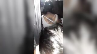 Private 3 way ex-wife, hubby and stranger