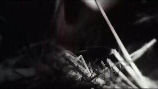 Empire Of Lust - Kang Han na