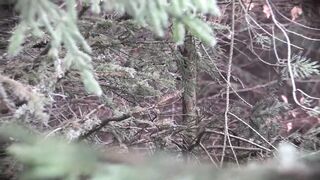 M.Madeleine Piras fucks a mega vibrator pig inside the woods