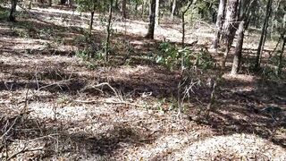 Mistress fucking me inside the woods