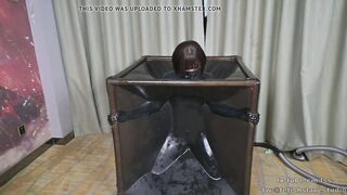 Rubber vacuum box bdsm and BP fem dom