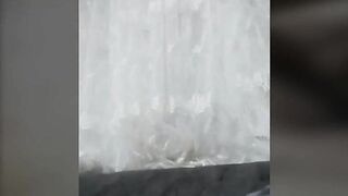 She put his cock inside honey and starts to eat on periscope