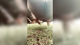 The next door pulled up, and almost caught me masturbating next to their house.