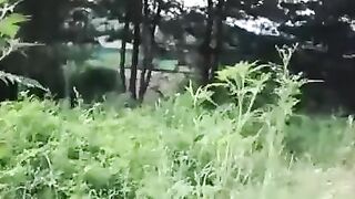 Korean chick banged!
