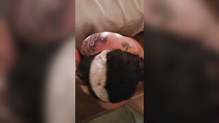 Inked BBW suck and pounded with cum shot