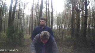 inside the forest
