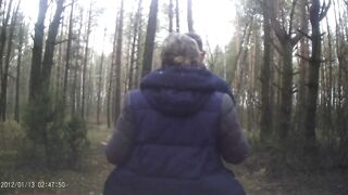 inside the forest