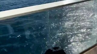 CUTIE cougar CHEATS ON HER HUBBY DURING A CRUISE