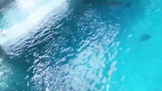 Gina Gerson homemade
