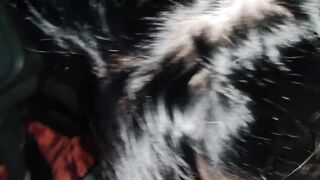 Outdoors head into vehicle american 18 year old from forsex.eu