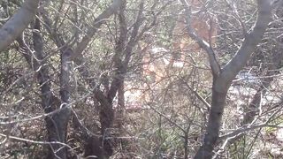 Greek Cuckold Hoe Irina - Three-Way Inside The Country