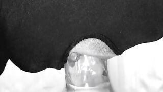 TheSwedishWanker - toy suck