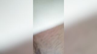 Homedog