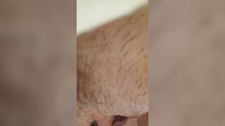 Homedog