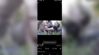 Young blonde painful first boned