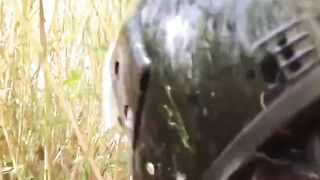 Cogiendola en el monte