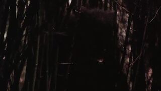 La Bete (The Beast) - French Porno clip with Wolf