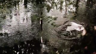 La Bete (The Beast) - French Porno clip with Wolf