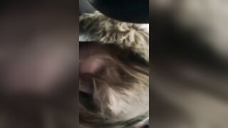 Pipe dans la voiture