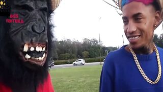 Macaco ventura pega professora acorda ela com pau na boca