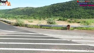 NUDE AND PEE ON THE STREET - DANNA HOTTIE