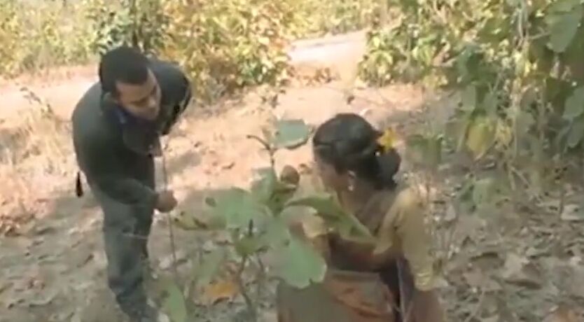 Jangal Me Phakad Ke Six Videos - Love4Porn.com Presents Jungle Me Lakdi Been Rahi Aurat Ko pakad ke Chod
