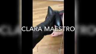 Best Female Domination on Twitter (strap-on, humiliations, etc.)