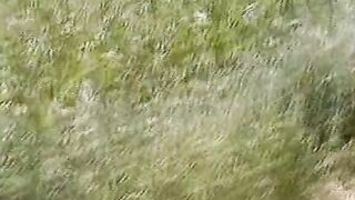 Im Feld gebumst - Vintage Retro