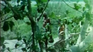 Seilama Sinhala Clip Anoja Weerasingha Sex