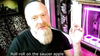 Peter Stone: my songs dedicated to my Goddes-skank Aimee! ))