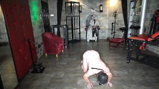 Gf Terie and her CFNM Fem Dom Sub Dog