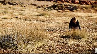 Red Knees, Red Butt, Red Clay -- rough anal &