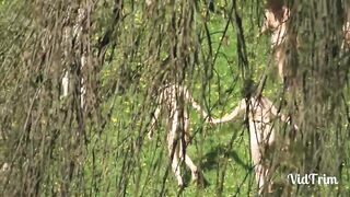 Naked group of chick all together