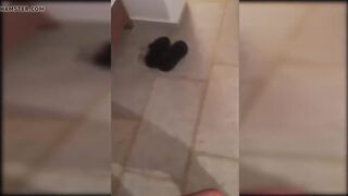 Surprise Out of the Shower!