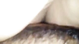 Huge Titted milf boned